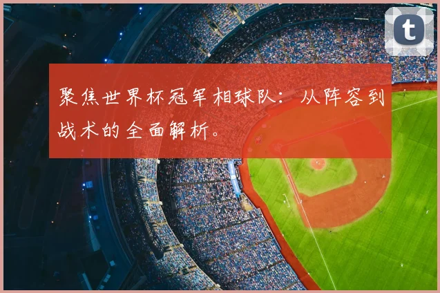 聚焦世界杯冠军相球队：从阵容到战术的全面解析。