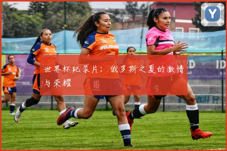 世界杯纪录片：俄罗斯之夏的激情与荣耀