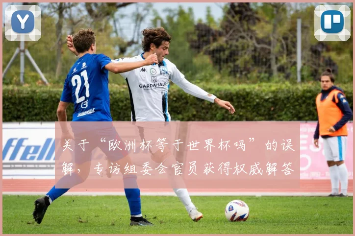 关于“欧洲杯等于世界杯吗”的误解，专访组委会官员获得权威解答