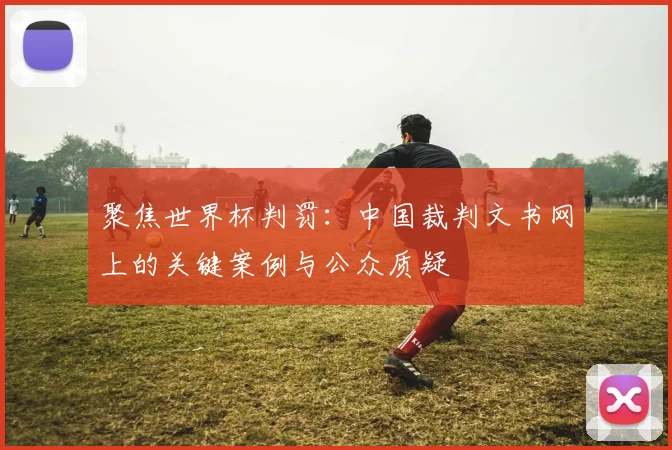 聚焦世界杯判罚：中国裁判文书网上的关键案例与公众质疑
