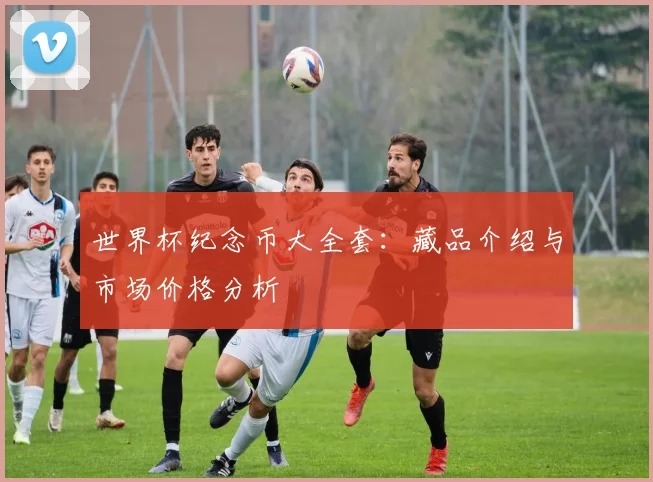 世界杯纪念币大全套：藏品介绍与市场价格分析