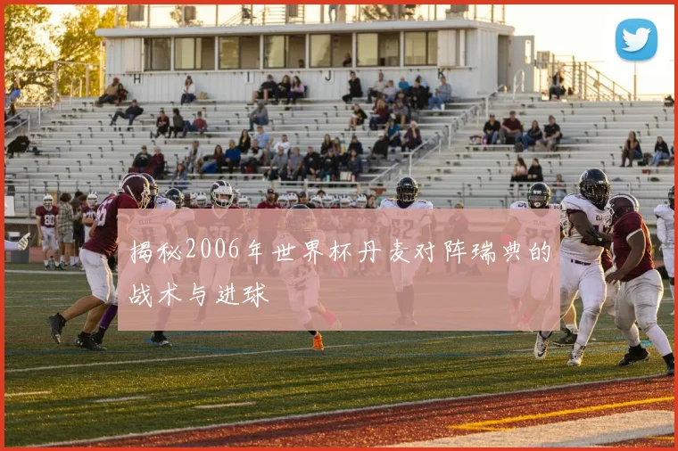 揭秘2006年世界杯丹麦对阵瑞典的战术与进球