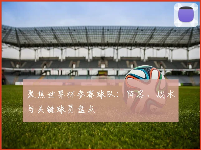 聚焦世界杯参赛球队：阵容、战术与关键球员盘点